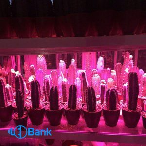 وال واشر ال ای دی فول اسپکتروم 1 متری مخصوص رشد گیاه
