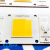 COB ال ای دی برق مستقیم 220 ولت تمام رزین 50 وات رنگ طلایی